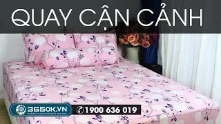 Drap Hàn Quốc giảm giá | Ga trải giường giá rẻ cotton lụa màu hồng ngọt ngào KS1L-082