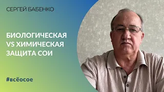 Сравниваем в опытах биологическую и химическую защиту сои