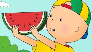 ★ Caillou has a Picnic ★ Funny Animated Caillou | Cartoons for kids | Caillou