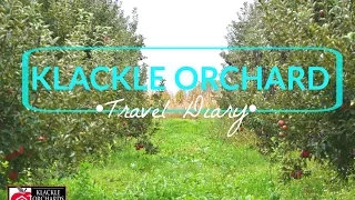 KLACKLE ORCHARD TRAVEL DIARY | Emily Tsuda