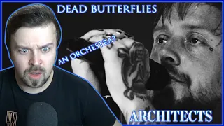 PURE EMOTION AND POWER! Architects - Dead Butterflies REACTION