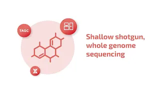 Microbiome Analysis Overview