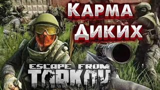 Карма = Репутация Диких | Качать или Нафиг? 🎥в Escape From Tarkov