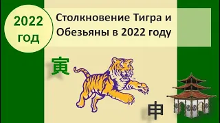 Столкновение Тигра и Обезьяны в 2022 году