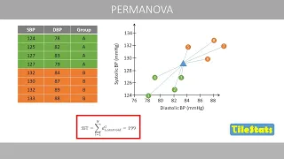 PERMANOVA and permutation tests - explained