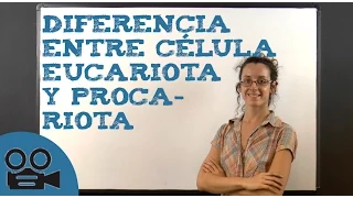 Diferencia entre célula eucariota y procariota