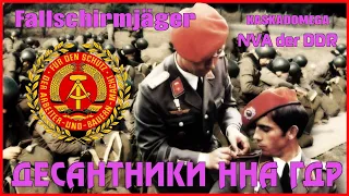 Десантники ННА ГДР / Fallschirmjäger der NVA der DDR [#2]