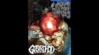 CASKET MUSH SPLIT W/ GASTROPOD (2022)