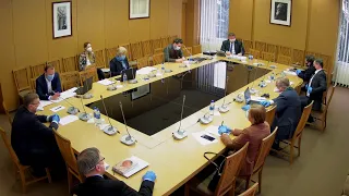 2020-03-31 Užsienio reikalų komiteto posėdis