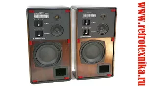 Speaker system is "Romance 35 AS-1" of the USSR in 1977