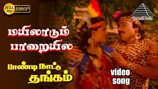 மயிலாடும் பாறையிலே HD Video Song | பாண்டி நாட்டு தங்கம் | கார்த்திக் | நிரோஷா | இளையராஜா