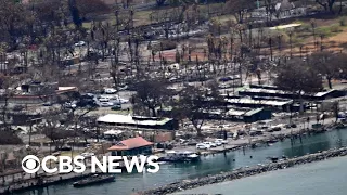 2 weeks after deadly Maui wildfires, search for remains of missing continues