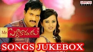 Mr Pellikoduku (Mr. పెళ్ళికొడుకు) Telugu Movie Full Songs Jukebox || Sunil, Isha Chawla