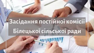 Засідання постійної комісії Білецької сільської ради 24.07.2020 р.