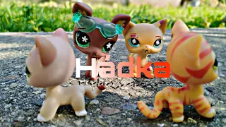 Littlest Pet Shop Štyri Elementy:S01E13- Hádka