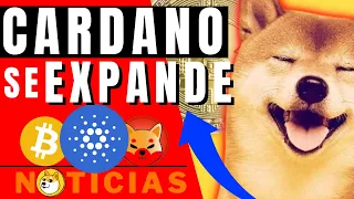 🚨 NOTICIAS de CRIPTOMONEDAS (HOY) ✅ GRANDES OPORTUNIDADES | Cardano | Bitcoin El Salvador | Ethereum