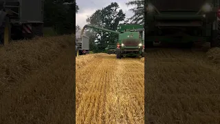 John Deere machinery makes quick work with golden wheat🌾