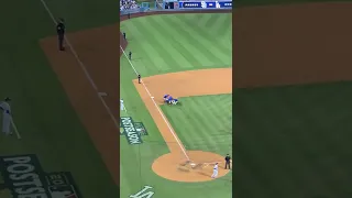 Loose Goose Interrupts Dodgers Game