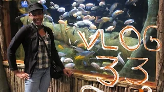 Aquatic Life at the Jenks Aquarium 1.2.2016 vlog 33