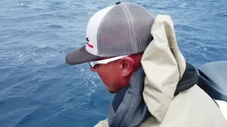 Albacore Tuna Fishing Five Rods on at once