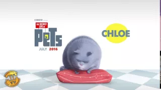 Meet Chloe - The Secret Life of Pets