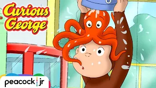 George's Wet and Wild Aquarium Day! | CURIOUS GEORGE