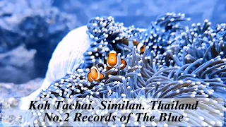No.2 Records of The Blue[4K] KohTachai Similan Thailand 코타차이 시밀란 태국 Save the ocean & save the planet