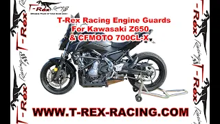 T-Rex Racing Engine Guards For Kawasaki Z650 & CFMOTO 700CL-X