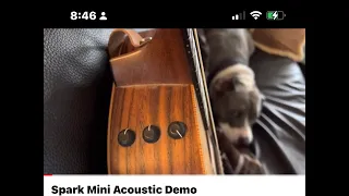 Spark Mini Acoustic Demo
