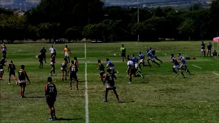 Cheslin Arendse 2019 rugby highlights