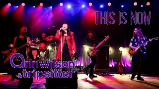 Ann Wilson & Tripsitter - This Is Now (Live)