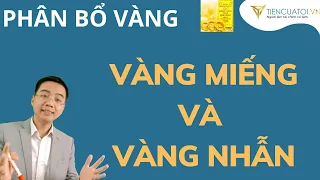 Phân bổ đầu tư vào vàng miếng SJC và vàng nhẫn như thế nào để có lợi mà vẫn an toàn?