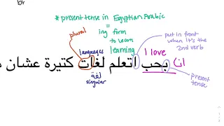 Speak Egyptian Arabic after this lesson! | Learn Egyptian Arabic grammar & vocabulary!