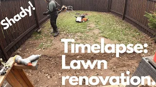 Timelapse lawn renovation in a shady spot