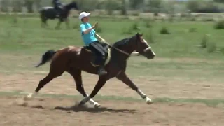 Жорго салыш 08 06 2014 туристик сезондун ачылышы.Кунан жорго аякы кругу.