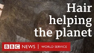 Using human hair to fight oil spills - People fixing the world, BBC World Service