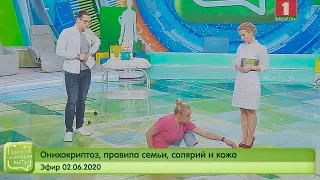 Онихокриптоз, правила семьи, солярий и кожа. Здорово здоровым быть 02.06.2020