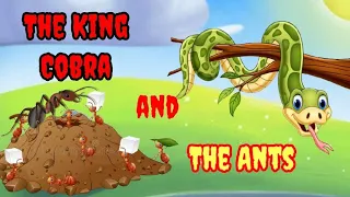 The King Cobra🐍 and The Ants🐜🐜 Story In English ||Bed Time Short Stories ||RY Kids Channel