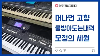 머나먼고향(나훈아)물방아 도는 내력(박재홍)모정의 세월(한세일)전자올겐(연주:강남김피디)