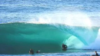 SHARK ISLAND | Locals charging like their life depends on it (...because sometimes it does)