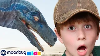 Dinosaurs & Jurassic World | Jurassic Tv | Dinosaurs and Toys | T Rex Family Fun