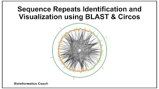 Sequence Repeat Identification and Visualization using BLAST and Circos for Bioinformatics