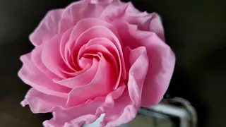 Spiral Roses: A Step-by-Step Tutorial | Cake Decorating | Fondant Flowers