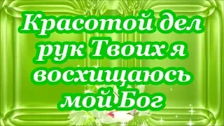 Красотой дел рук Твоих я восхищаюсь мой Бог