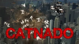 CATNADO (Sharknado Parody) - Conversation Cats #19