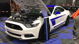 Mustang Week 2017 Car Show, Mustangs Everywhere