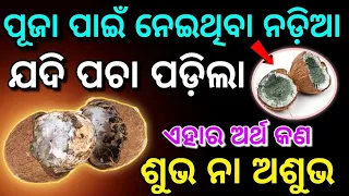 ପୂଜାରେ ନଡ଼ିଆ ଖରାପ ବାହାରିବାର ଅର୍ଥ କଣ? ଶୁଭ ନା ଅଶୁଭ? Pujare nadia kharap baharibara artha | Sadhubani |