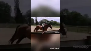 mon évolution en 1 ans d'équitation 🐴🐴