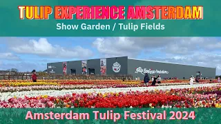 TULIP EXPERIENCE AMSTERDAM: Show Garden Only - Amsterdam Tulip Festival 2024 Part 3