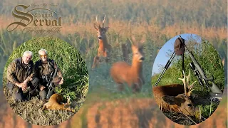 Hunting atypical Roebuck in Croatia - Drnje 2021 -Jagd auf Rehbock mit abnormen Gehörn